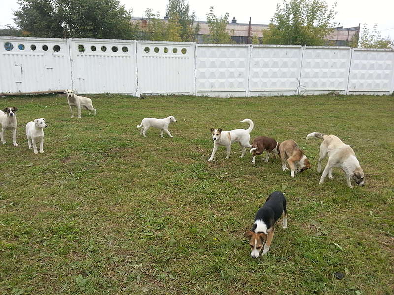 click for enlarge 1920 X 1440 409.9 Kb picture