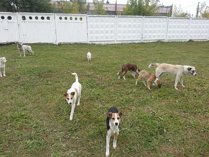 click for enlarge 1920 X 1440 442.4 Kb picture