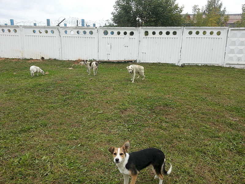 click for enlarge 1920 X 1440 391.2 Kb picture