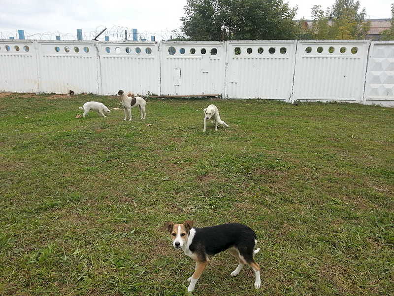 click for enlarge 1920 X 1440 416.1 Kb picture