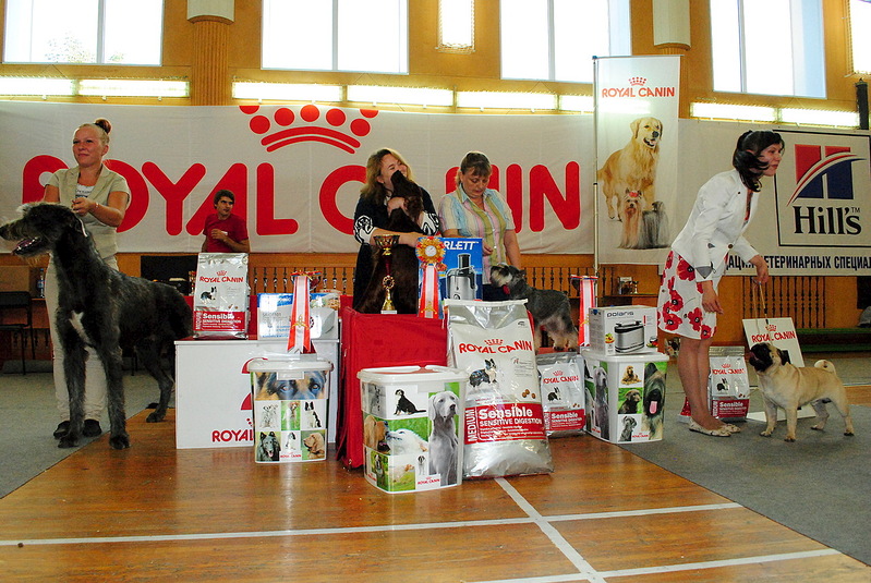 click for enlarge 1280 X 857 396.5 Kb picture