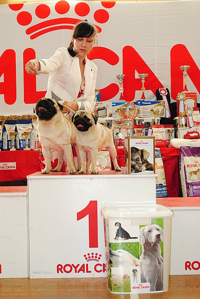 click for enlarge 536 X 800 163.3 Kb picture