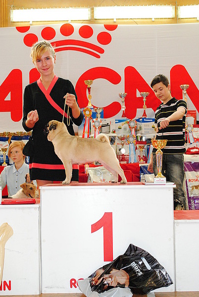 click for enlarge 536 X 800 152.9 Kb picture