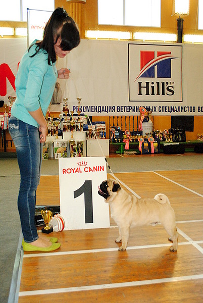 click for enlarge 536 X 800 152.6 Kb picture