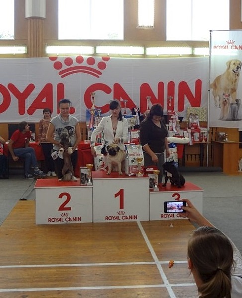 click for enlarge 520 X 640 72.4 Kb picture