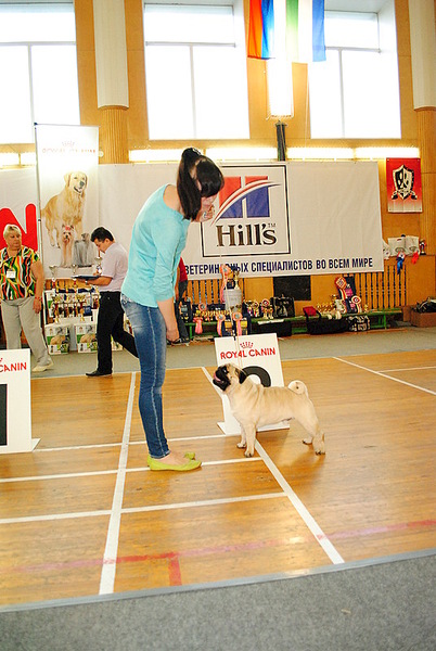 click for enlarge 536 X 800 146.7 Kb picture