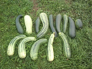 click for enlarge 1920 X 1440 458.3 Kb picture