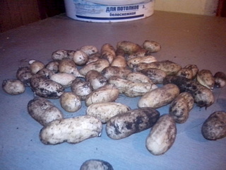 click for enlarge 1920 X 1440 556.9 Kb picture