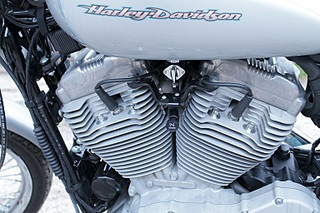 click for enlarge 768 X 512 147.8 Kb picture