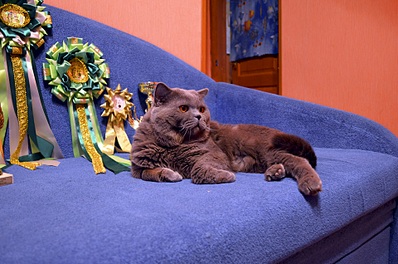 click for enlarge 1920 X 1271 805.9 Kb picture