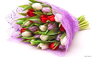 click for enlarge 1440 X 900 231.3 Kb picture