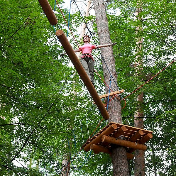 click for enlarge 604 X 604 182.7 Kb picture