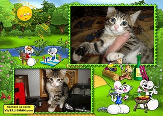 click for enlarge 604 X 431  85.5 Kb picture