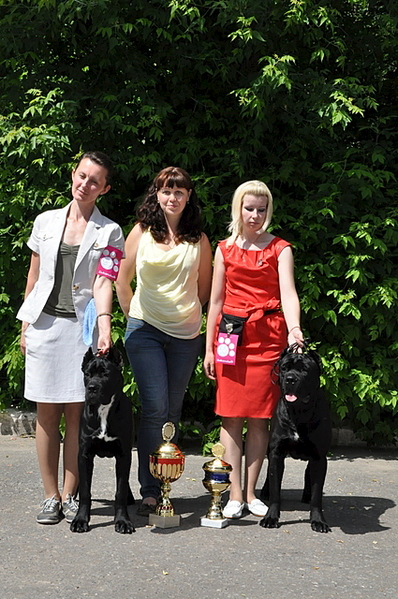 click for enlarge 425 X 640 244.7 Kb picture