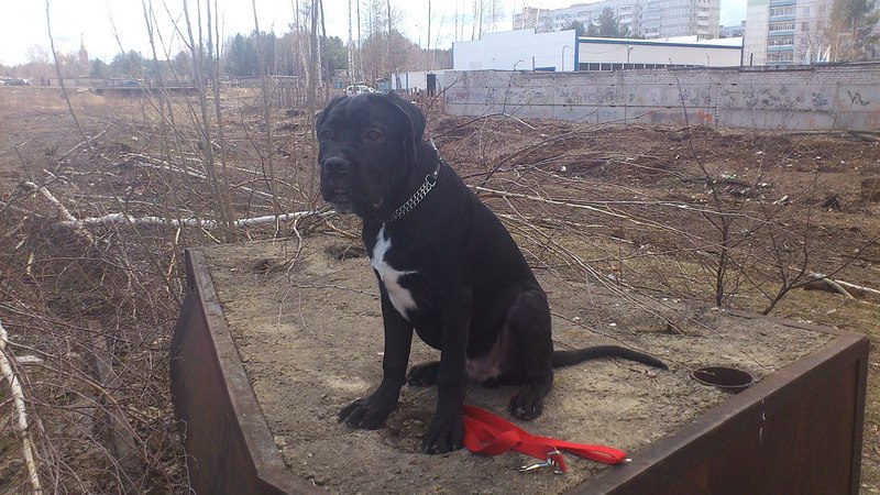 click for enlarge 1280 X 720 256.6 Kb picture