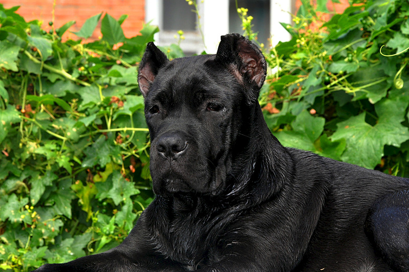 click for enlarge 1920 X 1275 722.2 Kb picture