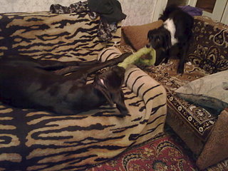 click for enlarge 1920 X 1440 401.1 Kb picture