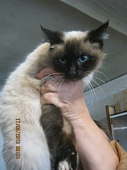 click for enlarge 768 X 1024 121.6 Kb picture