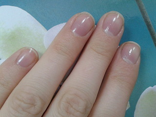 click for enlarge 1920 X 1440 455.7 Kb picture