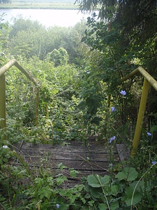 click for enlarge 768 X 1024 429.8 Kb picture