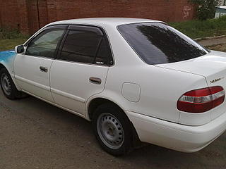 click for enlarge 1600 X 1200 204.7 Kb picture