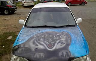 click for enlarge 1600 X 1020 187.5 Kb picture