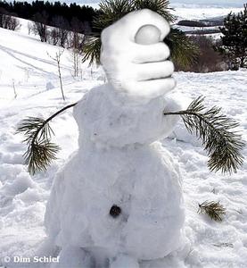 click for enlarge 462 X 500 39.4 Kb picture