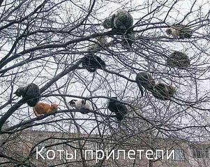 click for enlarge 450 X 358 51.0 Kb picture
