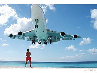 click for enlarge 800 X 600 64.1 Kb picture