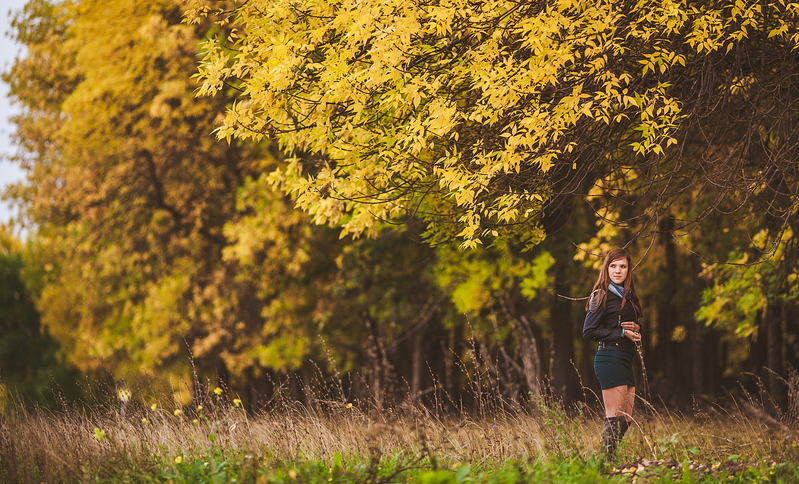 click for enlarge 1476 X 894 265.1 Kb picture