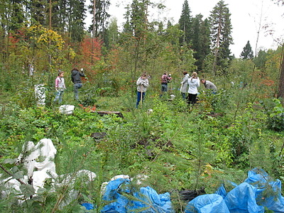 click for enlarge 1920 X 1440 586.8 Kb picture