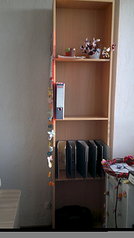 click for enlarge 1920 X 3416 757.1 Kb picture