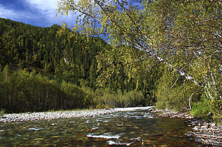 click for enlarge 1920 X 1280 656.6 Kb picture