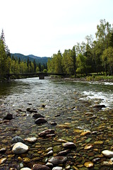 click for enlarge 1920 X 2880 850.7 Kb picture