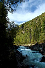 click for enlarge 1920 X 2880 716.4 Kb picture