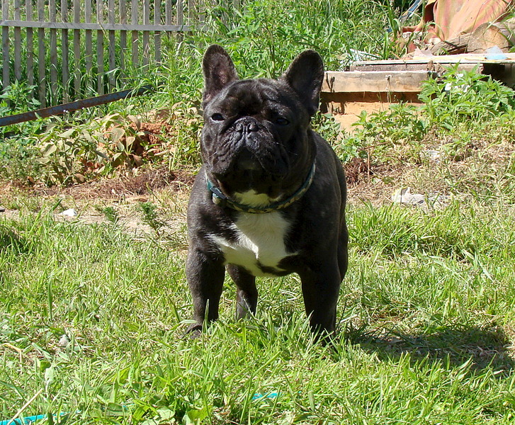 click for enlarge 1920 X 1584 645.2 Kb picture