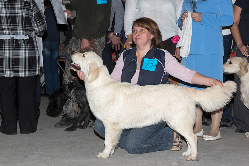 click for enlarge 1620 X 1080 212.1 Kb picture