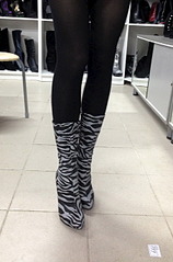 click for enlarge 1808 X 2733 308.1 Kb picture