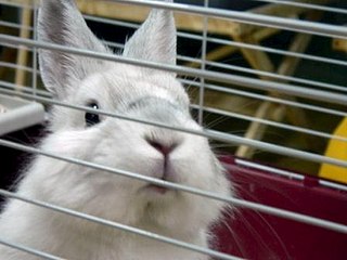 click for enlarge 448 X 336 24.0 Kb picture