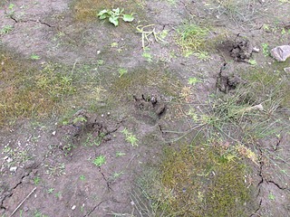 click for enlarge 1920 X 1440 508.1 Kb picture