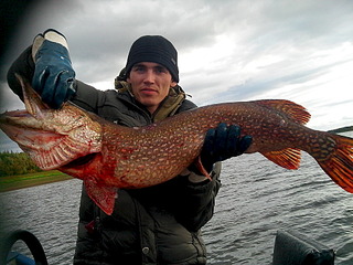 click for enlarge 1920 X 1440 822.1 Kb picture