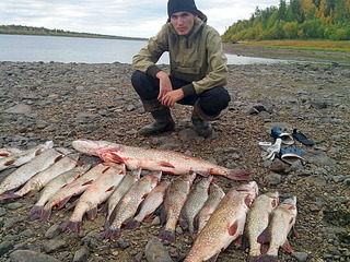 click for enlarge 1920 X 1440 500.1 Kb picture