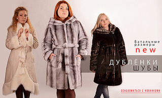 click for enlarge 1240 X 750 705.8 Kb picture