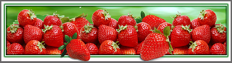 click for enlarge 910 X 249 106.7 Kb picture