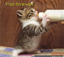 click for enlarge 700 X 623 79.5 Kb picture