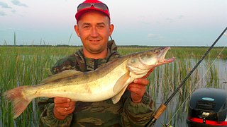 click for enlarge 1920 X 1080 287.6 Kb picture