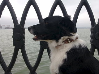 click for enlarge 1920 X 1440 290.3 Kb picture