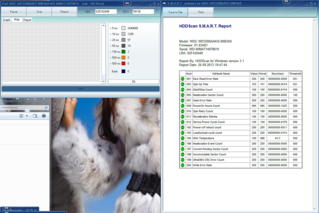 click for enlarge 1301 X 868 642.6 Kb picture