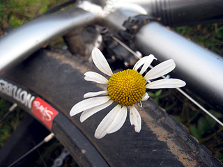 click for enlarge 1024 X 768 206.5 Kb picture