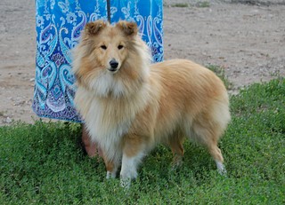 click for enlarge 1920 X 1388 493.0 Kb picture